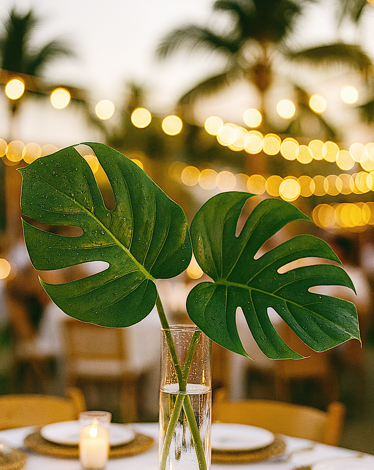 (image for) Monstera Leaves